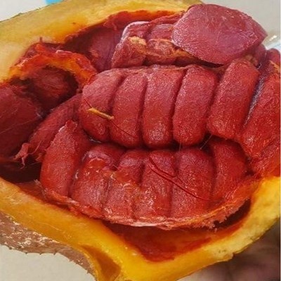 SNS에서 인기있는 제품이에요, 정말 좋아요. 걱 인기 제품 탑 6