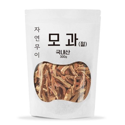 ◀ 2025년 내돈내산 실사용 강추후기▶ 모가나 추천 상품 베스트 6